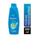 Blendax Yoğun Nemlendirme Aloe Vera Şampuan 500 Ml