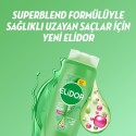 Elidor Şampuan 500 ml Sağlıklı Uzayan Saçlar