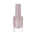 GOLDEN ROSE COLOR EXPERT NAIL LACQUER NO:76