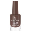 GOLDEN ROSE COLOR EXPERT NAIL LACQUER NO:74