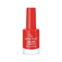 GOLDEN ROSE COLOR EXPERT NAIL LACQUER NO:24