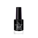 GOLDEN ROSE COLOR EXPERT NAIL LACQUER NO:60