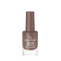 GOLDEN ROSE COLOR EXPERT NAIL LACQUER NO:72