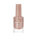 GOLDEN ROSE COLOR EXPERT NAIL LACQUER NO:73