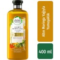 Herbal Essences Şampuan Yumuşaklık Altın Moringa Yağı 400 Ml