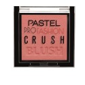 PASTEL PROFASHION CRUSH BLUSH 301