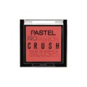 PASTEL PROFASHION CRUSH BLUSH 304